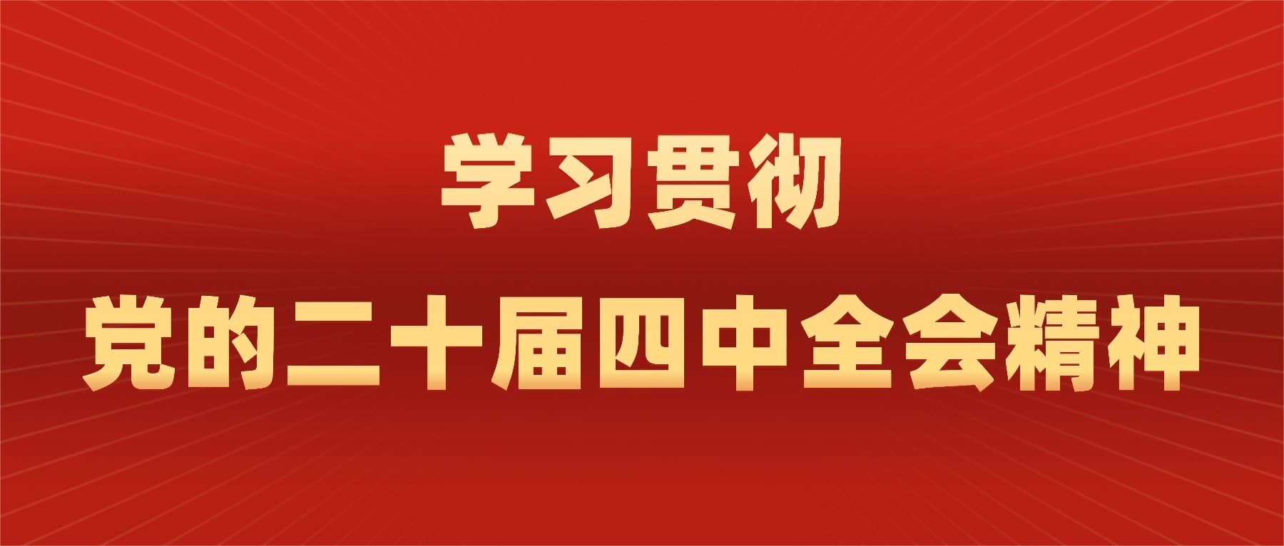 学习贯彻党的二十届四中全会精神